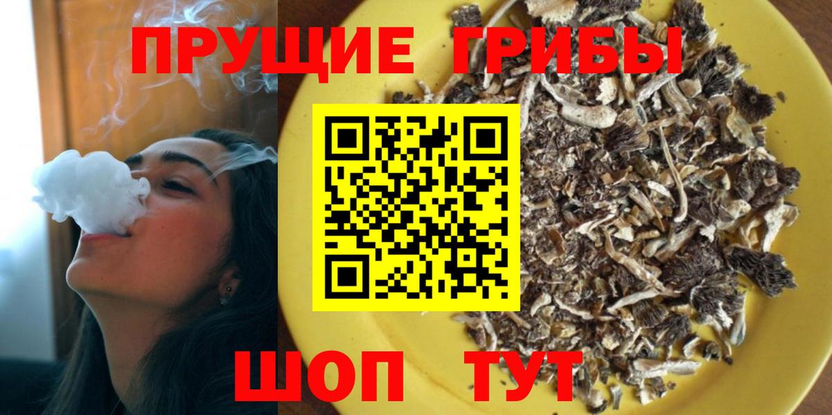Галлюциногенные грибы прущие грибы Самара