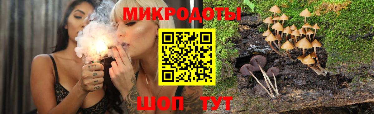 Псилоцибиновые грибы Psilocybe  Вход с VPN  Самара  продажа наркотиков  Псилоцибиновые грибы GOLDEN TEACHER 